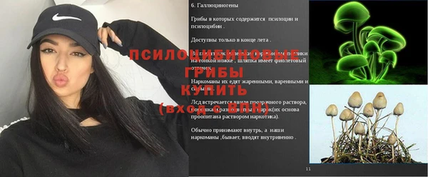 МДПВ Бородино