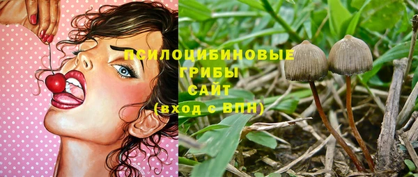 мдпв Бугульма