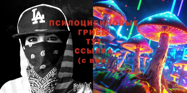ПСИЛОЦИБИНОВЫЕ ГРИБЫ Верхний Тагил