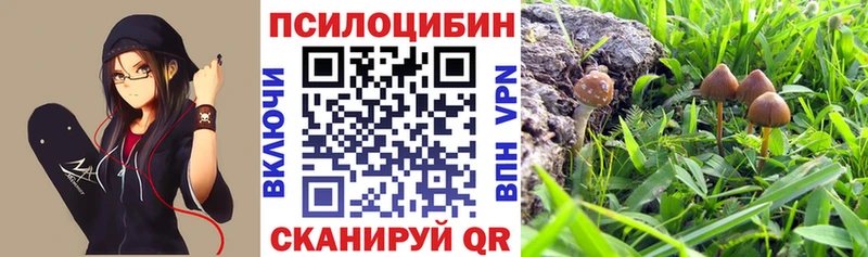 Псилоцибиновые грибы Psilocybe  KRAKEN ONION  Искитим 